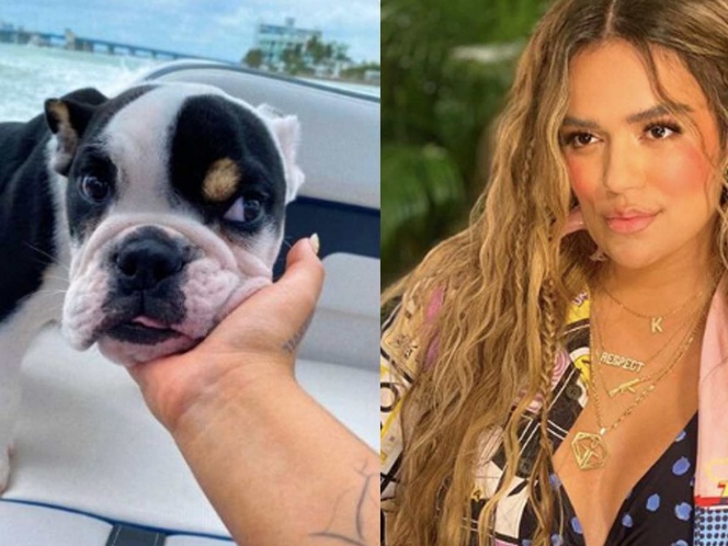 Karol G Usa A Su Perrito Para Hablar Sobre Racismo Y Fans La Critican