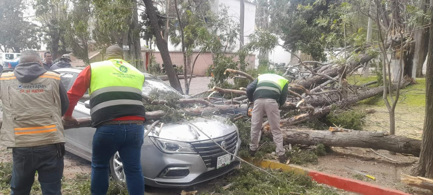 Van Ocho árboles Caídos Y Una Finca Colapsada Por Vientos